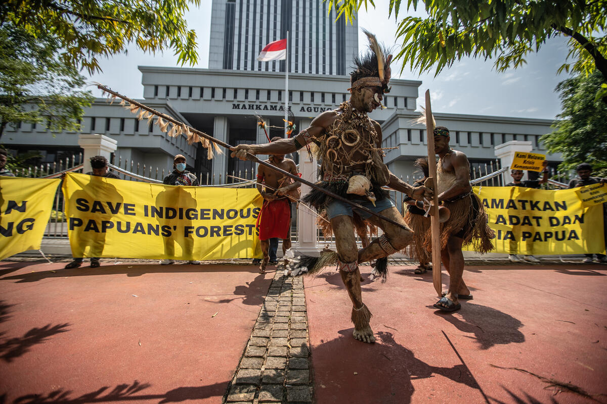 “All Eyes on Papua”: The Indigenous Fight for Survival Against Palm Oil Expansion