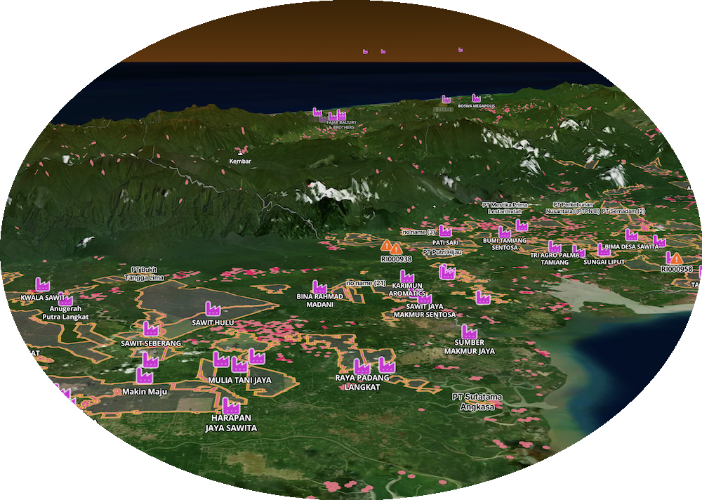 2025 Outlook webinar: Palm oil at the crossroads