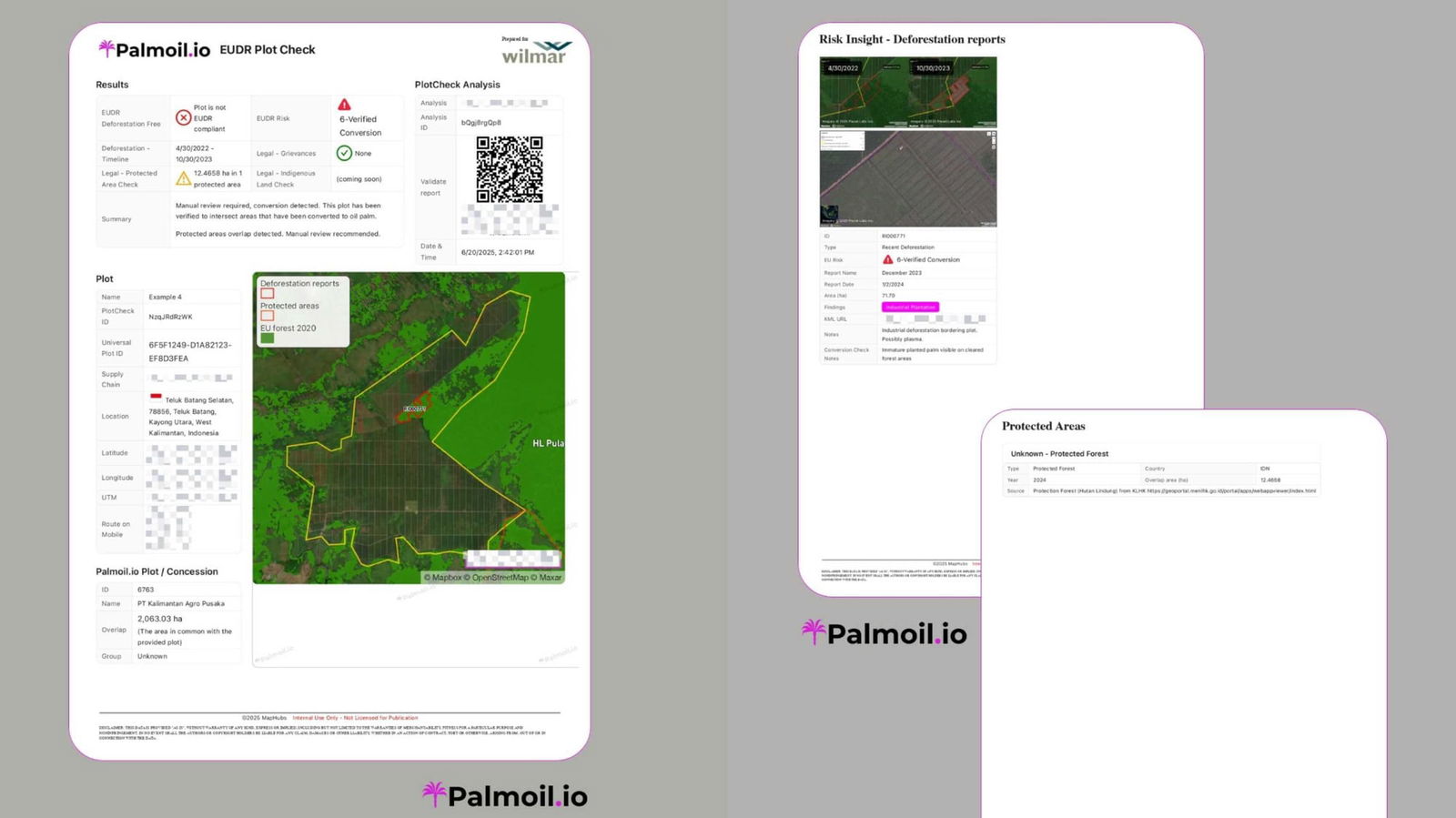 Palmoil.io Newsletter - June 2025