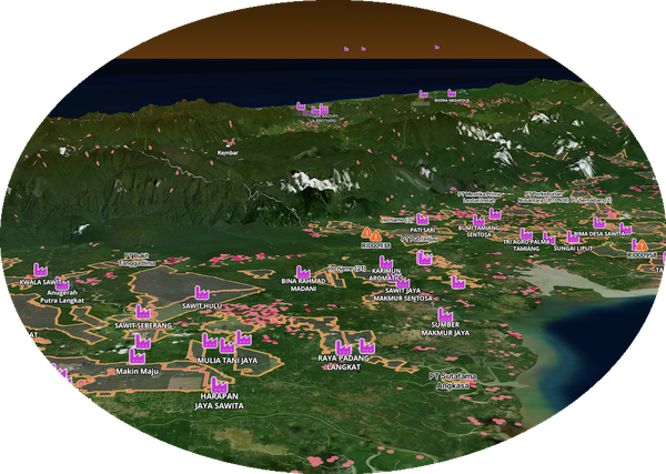 2025 Outlook webinar: Palm oil at the crossroads