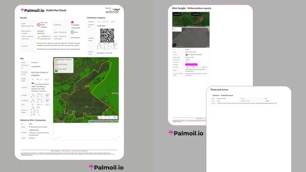 Palmoil.io Newsletter - June 2025